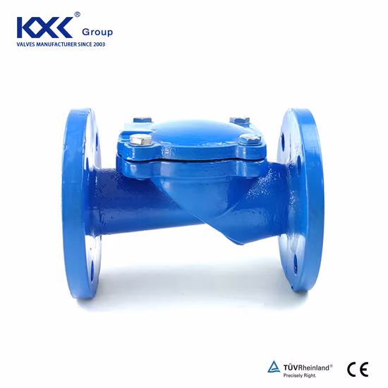 Corps en fonte ductile/clapet anti-retour à battant/clapet anti-retour à plaque Daul/clapet anti-retour/clapet anti-retour en caoutchouc/clapet anti-retour Owe Way/clapet anti-retour à bille